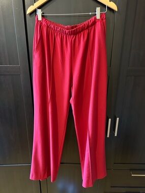 GAP Red Wide-Leg Pants | Size Small | NWT | Flowy Chic Minimalist